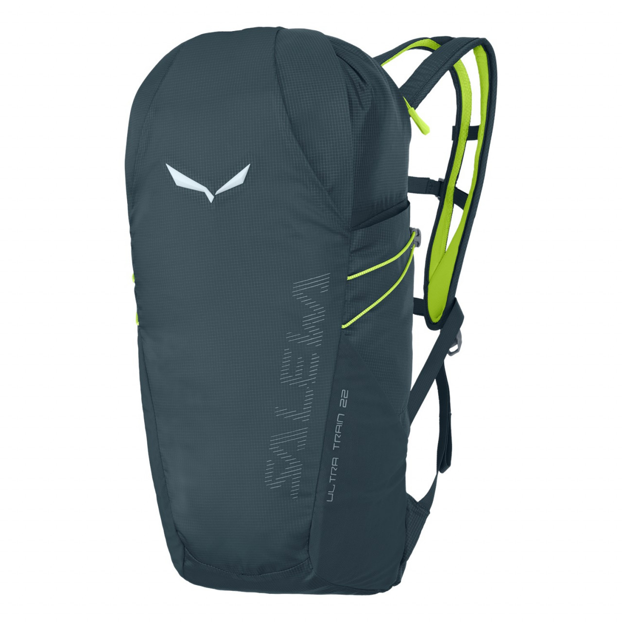 Salewa Ultra Train 22L Backpacks Grey/Blue IFM-084291